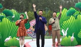 开封李先生最新爆料视频,最新爆料视频背后的惊人真相